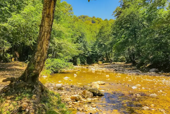 طبیعت بکر شیرگاه در بهار