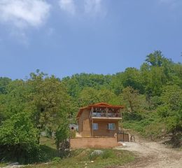 کلبه جنگلی با استخر