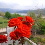 منظره ویلا به دریاچه
