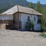 کلبه سنتی جنگلی