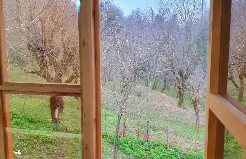 کلبه جنگلی افراسی